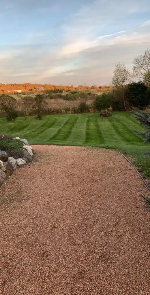freshly mowed backyard at sunset