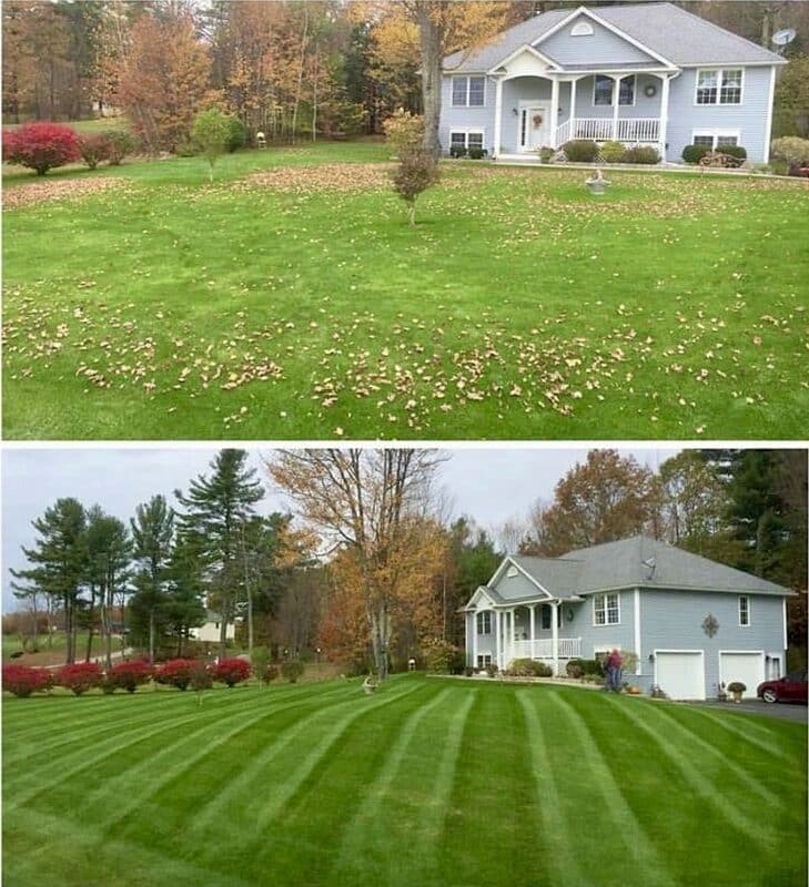 before and after of lawn care and leaf cleanup