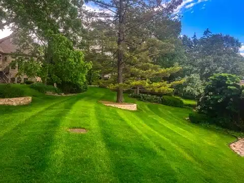 freshly mowed and landscaped back yard
