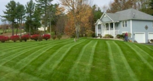 Lawn Care Service provided by Waukesha Lawn Service